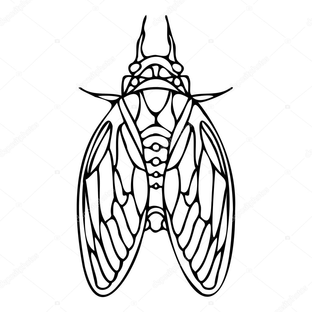 Abstract isolated vector black and white lined illustration design with fly