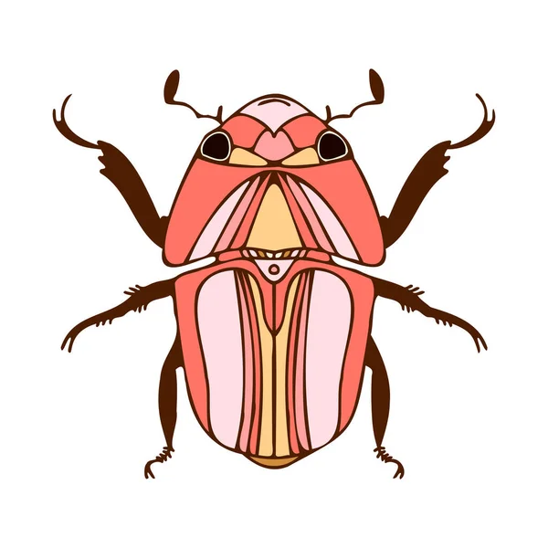 Abstract geïsoleerde vector gevoerde illustratie ontwerp van bug in rode en roze kleuren — Stockvector