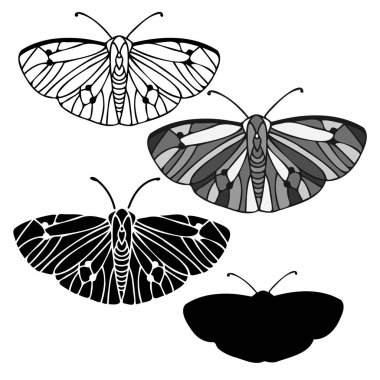 Kelebeğin soyut izole edilmiş siyah beyaz çizgili tasarımı