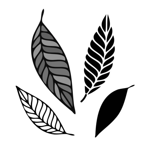 Ізольований векторний набір чорно-білого листя вишитий і силует — стоковий вектор