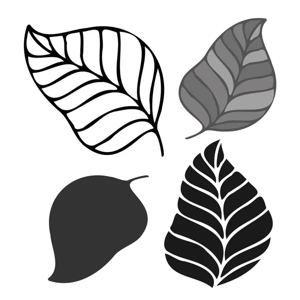 Conjunto vetorial isolado de folhas pretas e brancas forradas e silhueta — Vetor de Stock