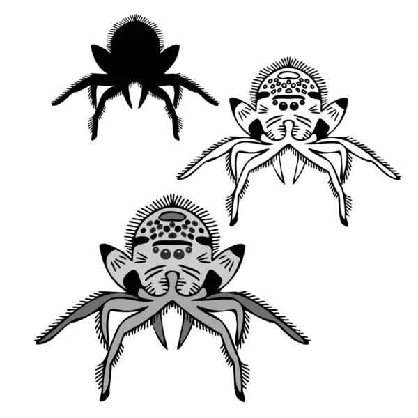 Isolated vector black and white design illustration of decorative ornamental lined spider — Stock Vector