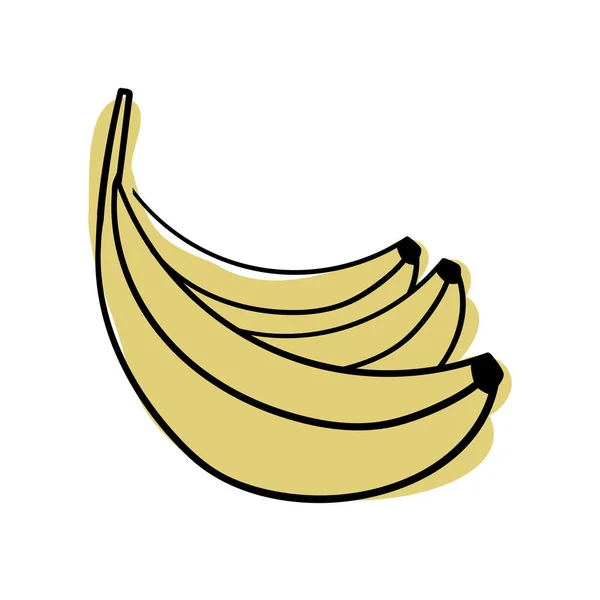Izolowany wektor ilustracja kolorowy projekt dekoracyjne owoce banana — Wektor stockowy