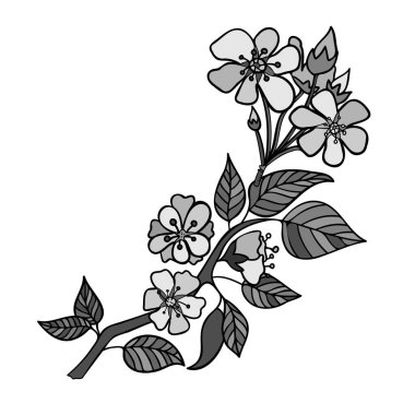 Soyut siyah ve beyaz soyut elma yaprakları ve çiçekleri dal çizgisi üzerinde izole edilmiş vektör kümesi 