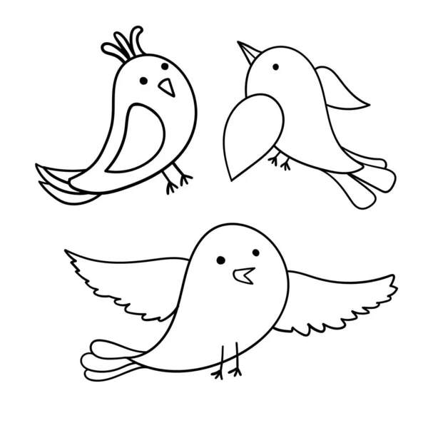 Nette isolierte schwarz-weiße Vektorillustration buntes Design von Cartoon-Vögeln — Stockvektor