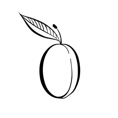 Modern izole edilmiş siyah-beyaz vektör çizimi yaz çukur meyvesinin soyut silüeti