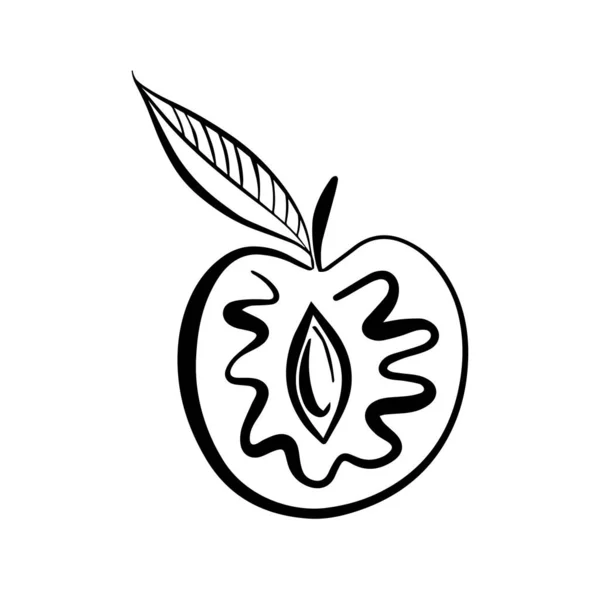Nowoczesny izolowany wektor czarno-biały ilustracja abstrakcyjna sylwetka lato pit fruit — Wektor stockowy