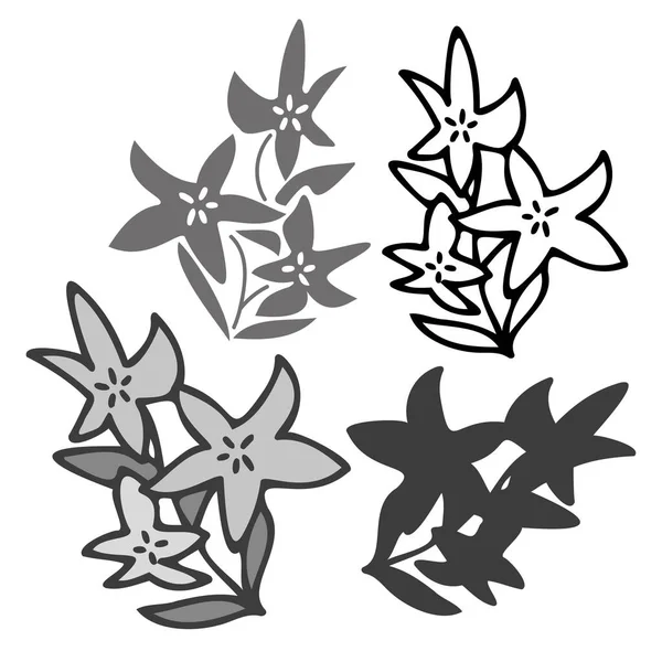 Vereinzelte Vektorsätze aus abstrakten schwarz-weiß blühenden Blättern und Blumen säumen die Kunst — Stockvektor