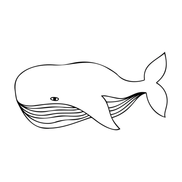 Vector isolated black and white lined illustration of decorative cartoon whale — Stock Vector