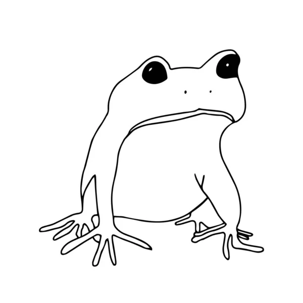 Immagine vettoriale isolata disegno illustrazione di rana foderato in bianco e nero — Vettoriale Stock