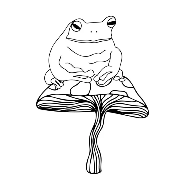Izolovaný vektorový obrázek ilustrační design černobílé lemované žáby na houbě — Stockový vektor