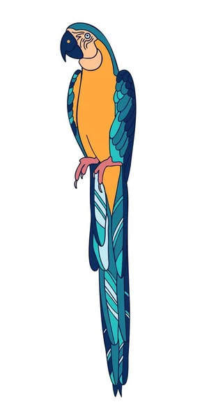 Moderne geïsoleerde vector kleurrijke ontwerp tropische decoratieve cartoon papegaai — Stockvector