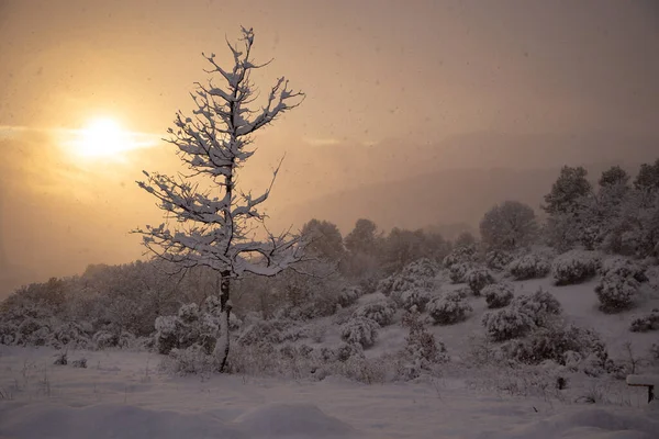 Escena Invierno Con Sol Poniente Paisaje Invernal Muy Frío Provenza — Foto de Stock