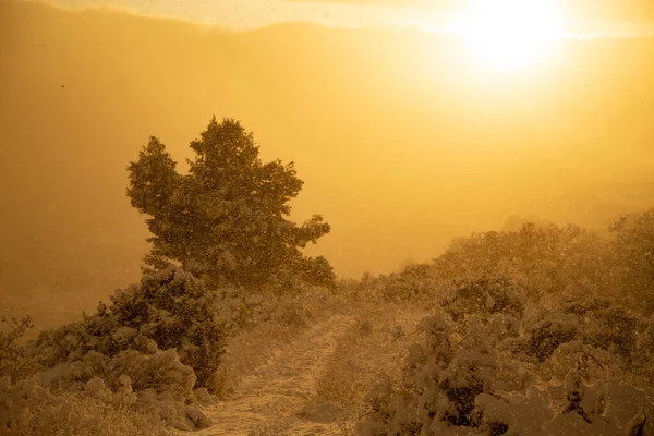 Verschneite Winterszenen Während Eines Schneesturms Mit Goldenem Sonnenuntergang Sehr Starker — Stockfoto