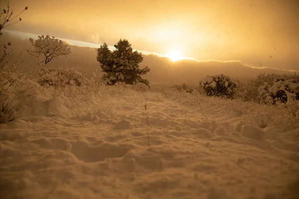 Havas Téli Jelenetek Egy Hóviharban Arany Naplementével Nagyon Erős Hóesés — Stock Fotó