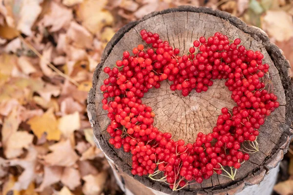 Heart of red berries on wooden background — Stock Photo, Image