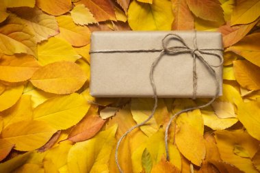 Sarı yapraklardan oluşan bir arka planda el işi kağıdı.