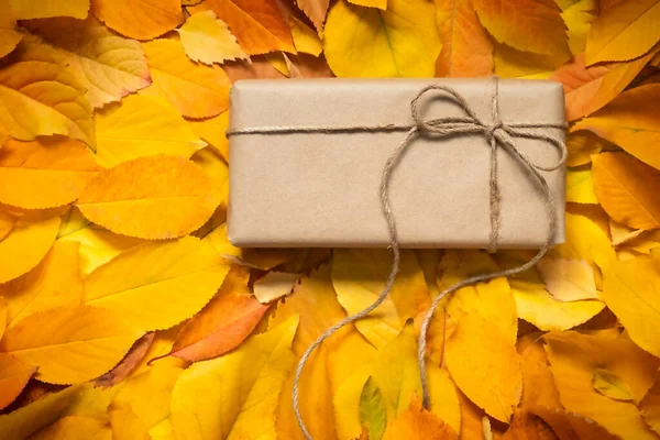 Sonbahar arka planında el işi kağıdında hediye kutusu