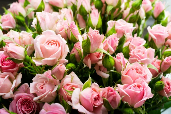 Rosas rosadas de cerca, fondo floral — Foto de Stock