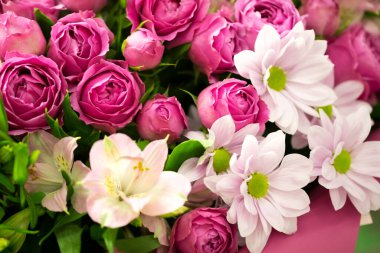 Kasımpatı ile pembe güller. Yaklaş.