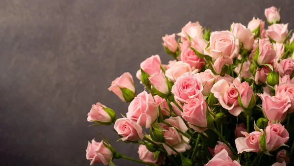 Rosas rosadas sobre fondo lila — Foto de Stock