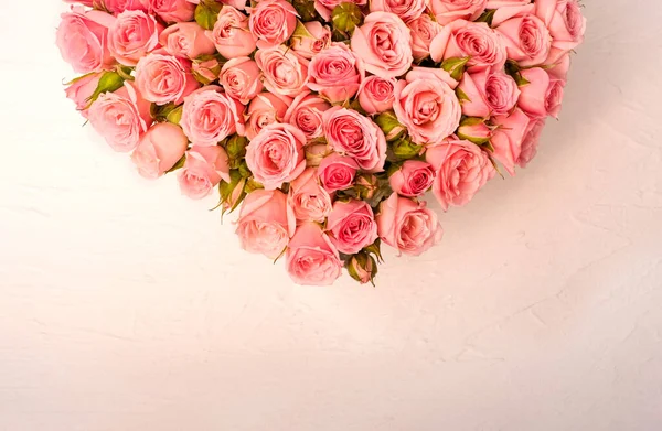 Rosas rosadas sobre un fondo claro — Foto de Stock