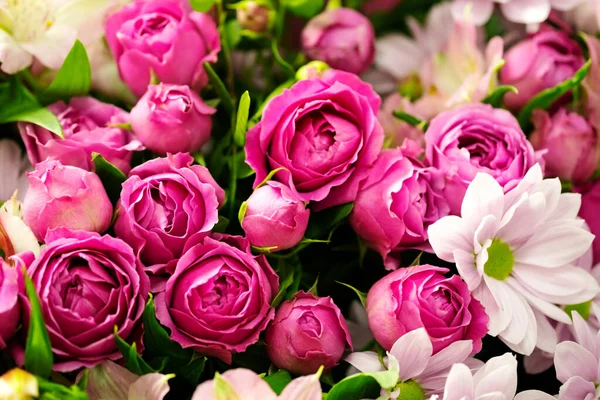Rosas rosadas con crisantemo — Foto de Stock