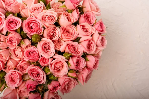 Rosas rosadas sobre un fondo claro — Foto de Stock