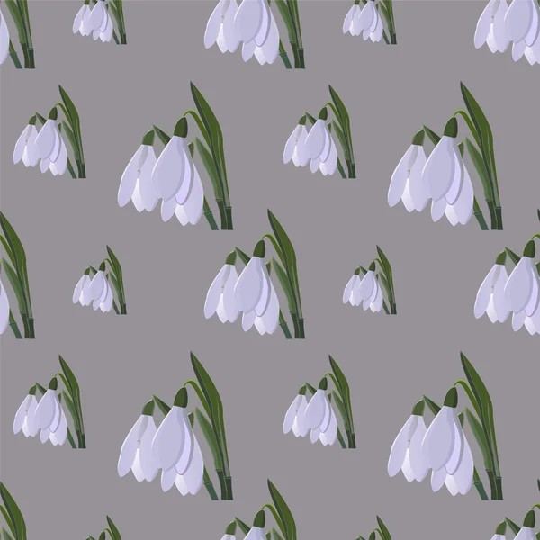 Snowdrop. voorjaar bloem. vector — Stockvector