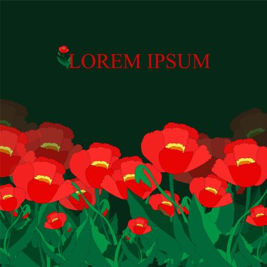 Çiçek deseni. Poppy. afiş veya kart tasarımı. illüstrasyon