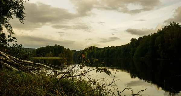 Natura della Finlandia — Foto Stock