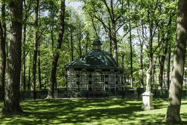 Bild tagen i Peterhof, Ryssland. — Stockfoto