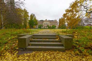 Altın sonbahar. Tampere, Finlandiya.