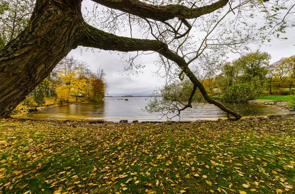 Zlatý podzim. Tampere, Finsko. — Stock fotografie