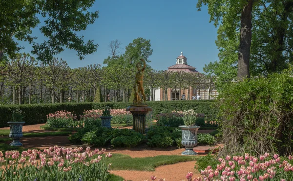 Picture taken in Peterhof