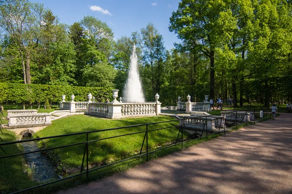 Малюнок посидав у Петергофі, Росія. — стокове фото