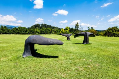 Botanik bahçesindeki mavi balina heykelleri Volcji potok, botanik bahçesi, botanik bahçesi, Kamnik, Slovenya
