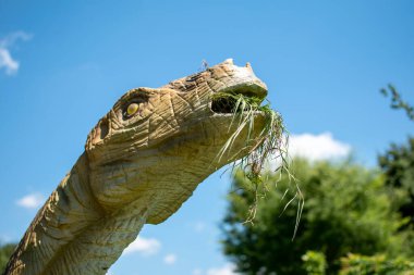 Slovenya 'nın Volcji Potok kentindeki botanik parkı botanik bahçesinde sergilenen dinozor baş detayı.
