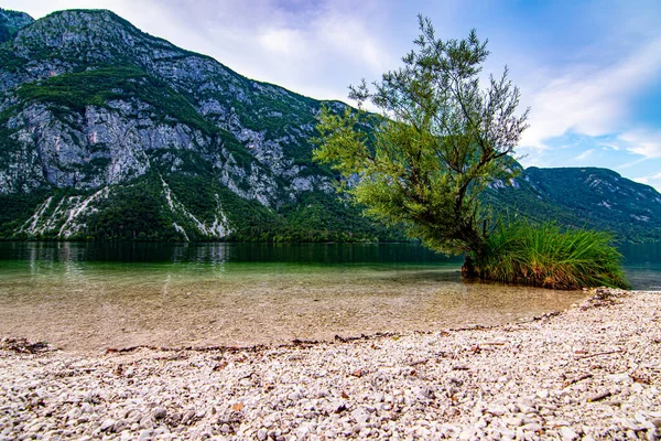 Bohnij Gölü Plajı - Bohnijsko Jezero, Slovenya, Öğleden sonra güzel ayna suyu