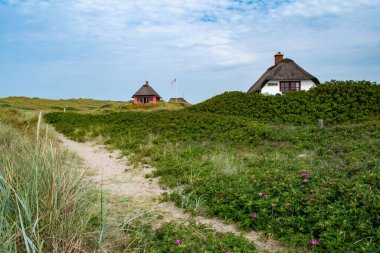 Blavand sahillerinde sazdan çatılı geleneksel Danimarka evleri