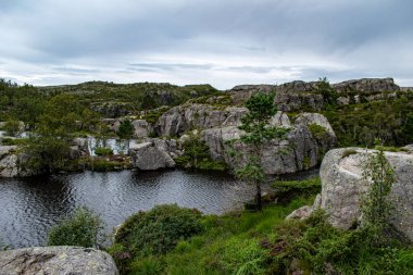 Dağ tundrası, Norveç, Preikestolen 'e doğru yol alıyor.