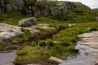 Dağ tundrası, Norveç, Preikestolen 'e doğru yol alıyor.
