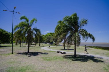 Güneşli bir günde sahil kenarında parkta yürüyen biri.