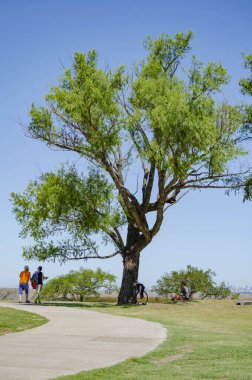 İnsanlar parkta yürüyüp dinlenmekten zevk alıyor.