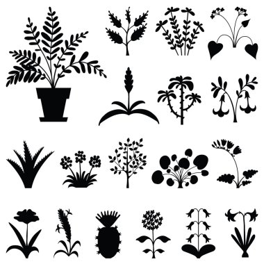 stilize houseplants siluetleri kümesi.