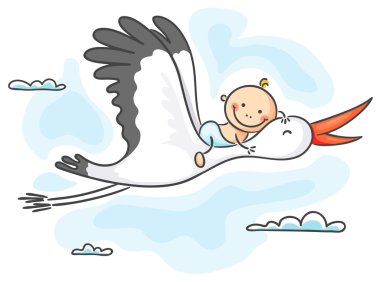 Leylek bebek taşıma