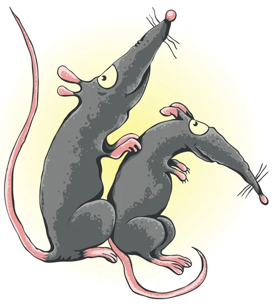 Um rato coça as costas de outro rato. —  Vetores de Stock