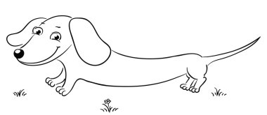 Dachshund anahat