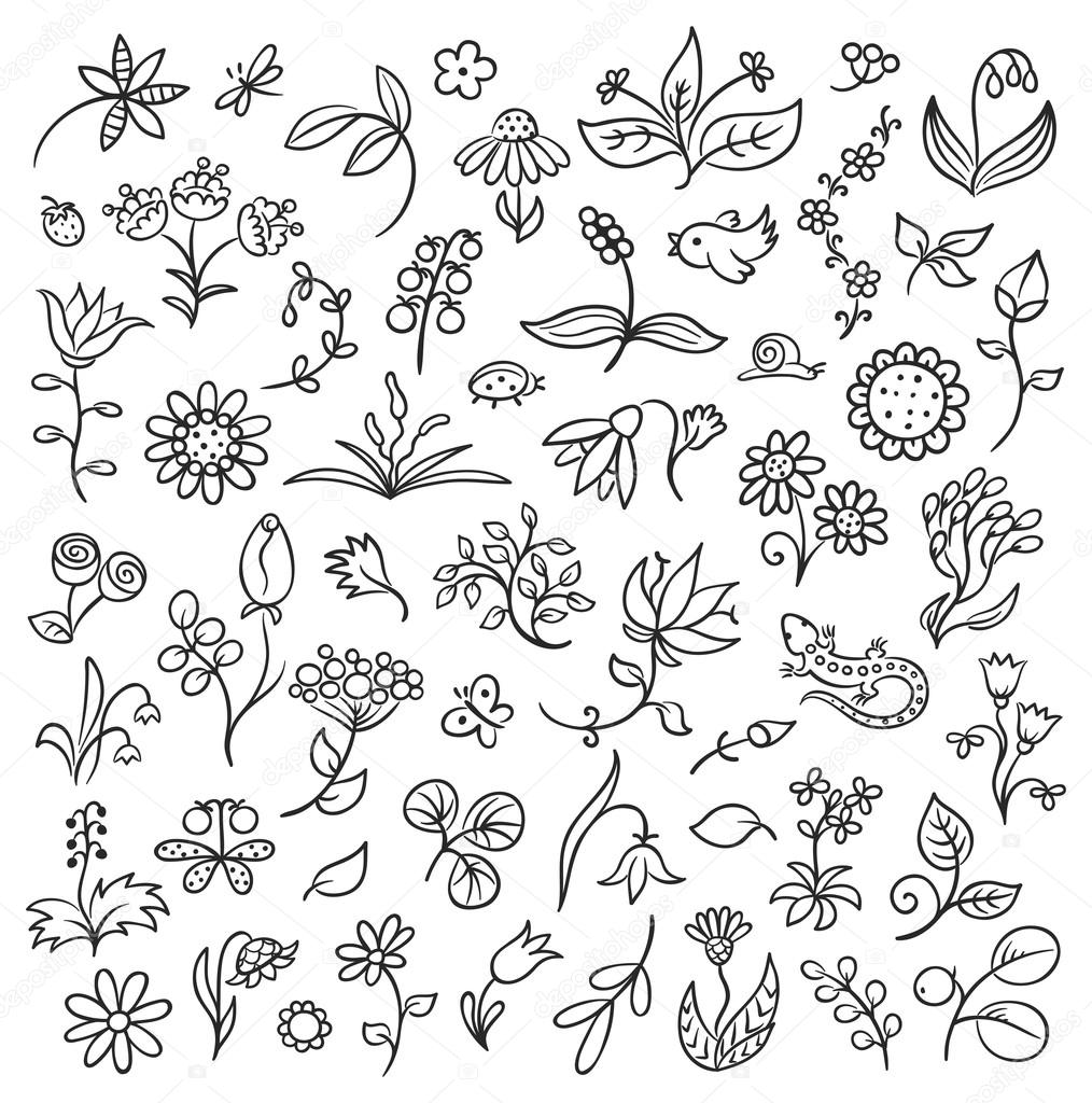 Floral Design Elements Outlines Stock Vector Image by ©Katerina_Dav