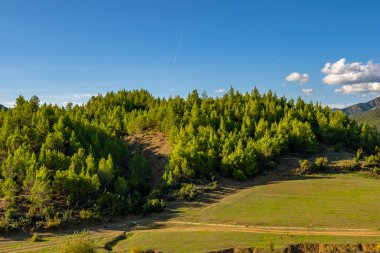 Huzurlu ve sakin doğa manzarası